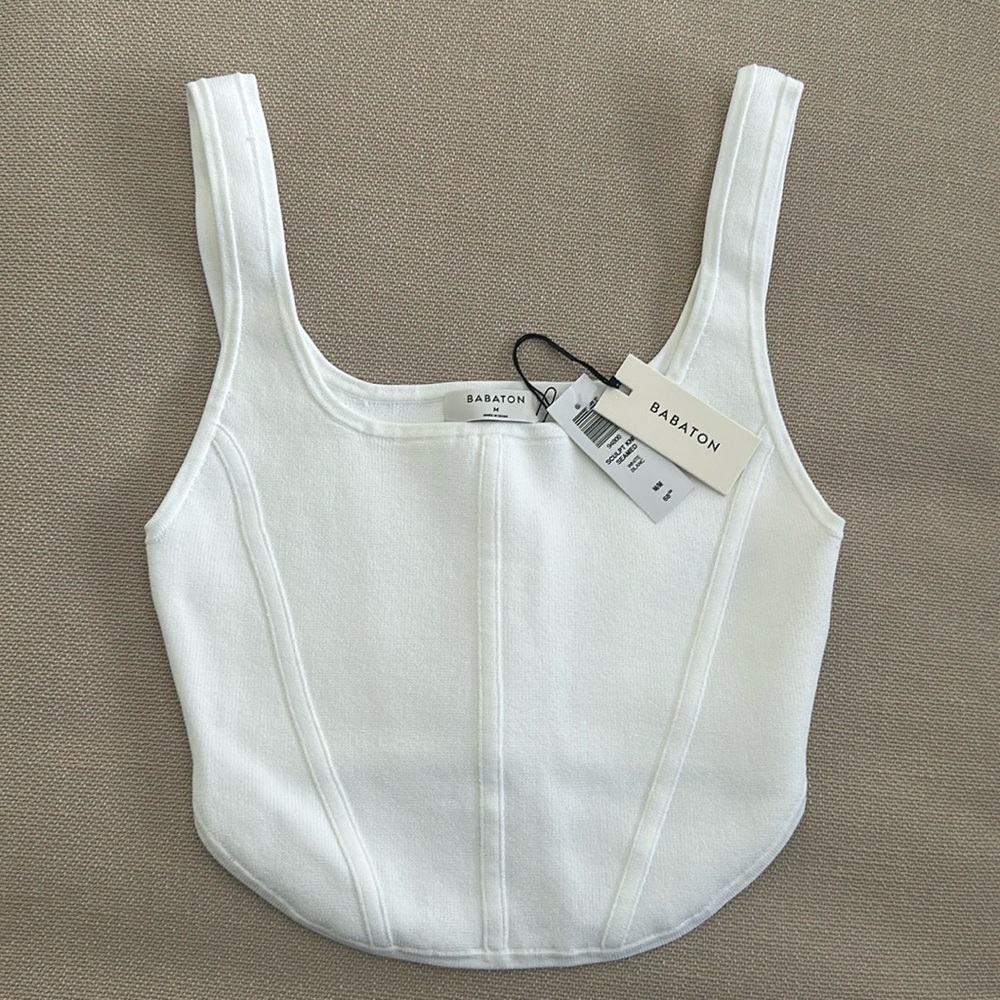 NWT Aritzia Sculpt Knit Corset Top